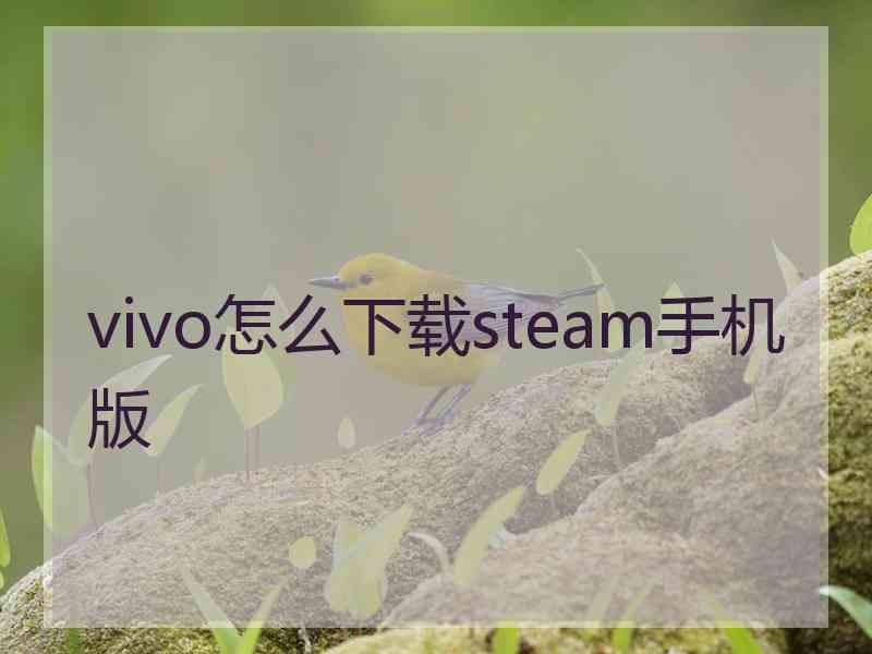 vivo怎么下载steam手机版