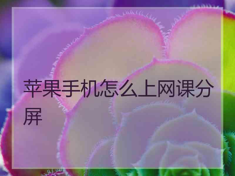 苹果手机怎么上网课分屏