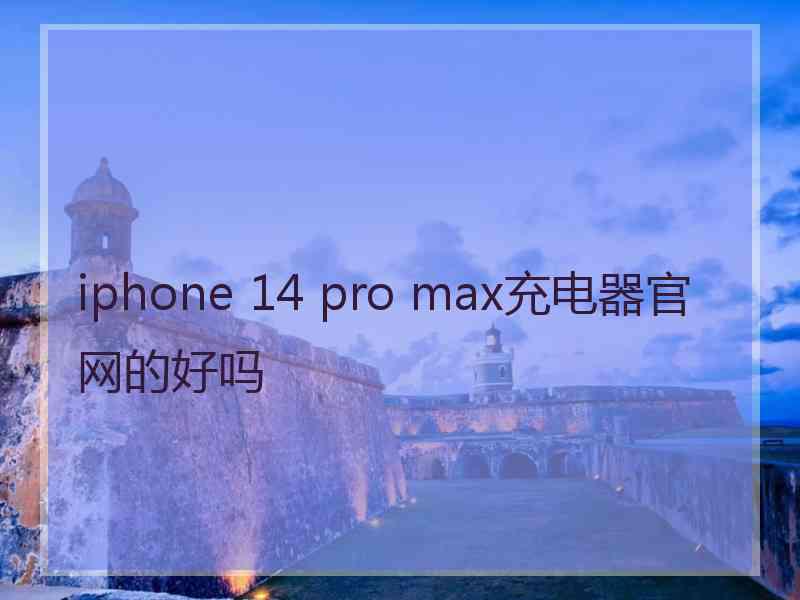 iphone 14 pro max充电器官网的好吗