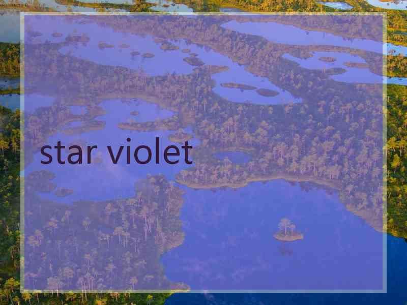 star violet