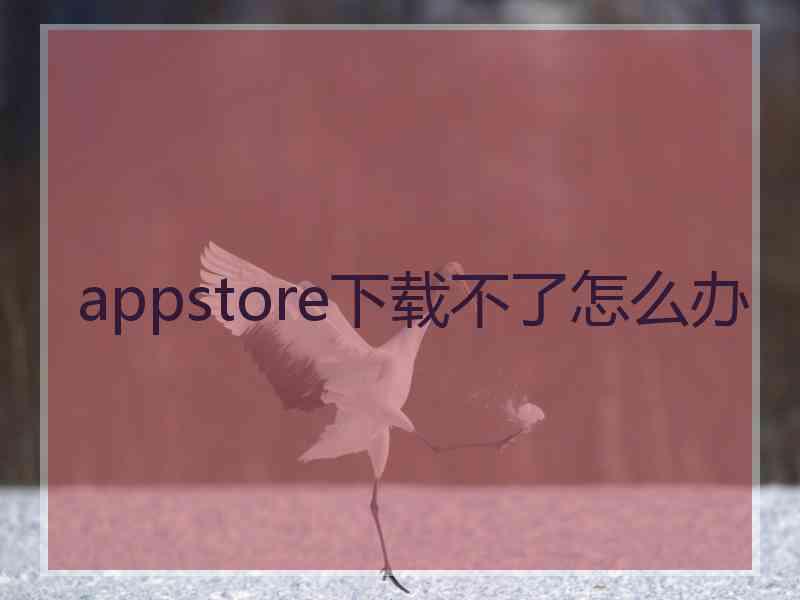 appstore下载不了怎么办