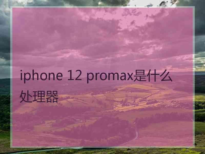 iphone 12 promax是什么处理器