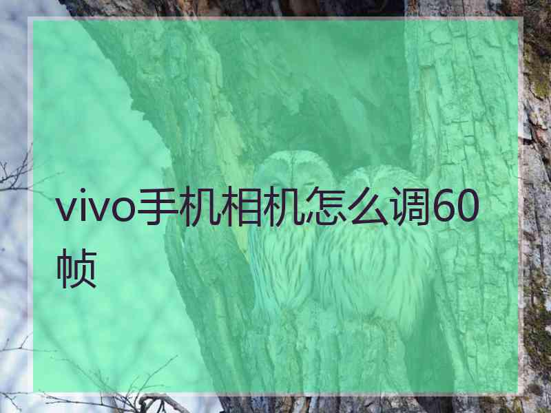 vivo手机相机怎么调60帧