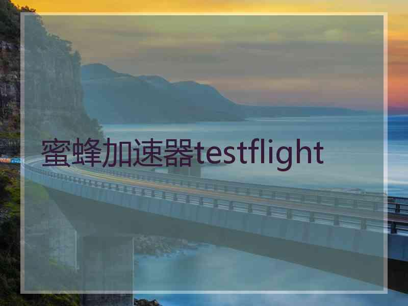 蜜蜂加速器testflight