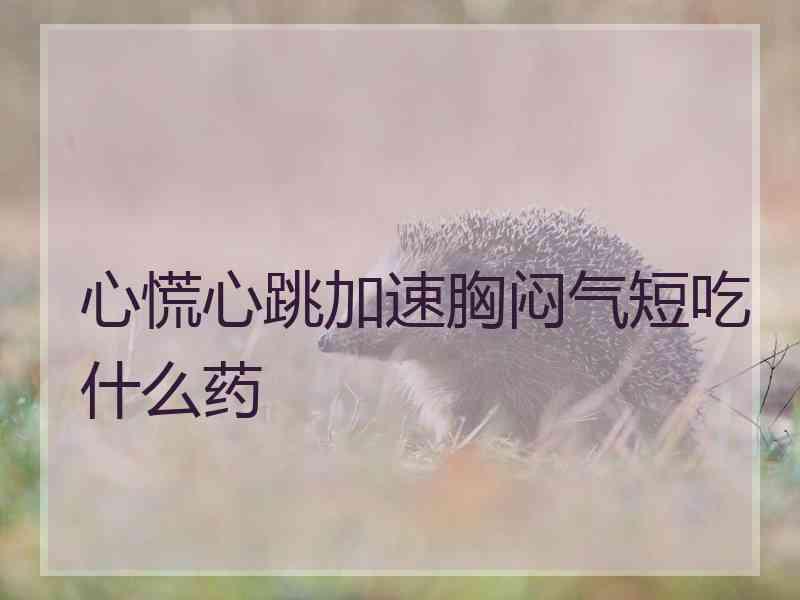 心慌心跳加速胸闷气短吃什么药