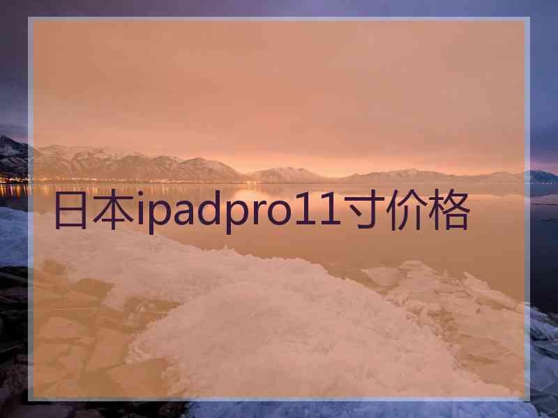 日本ipadpro11寸价格