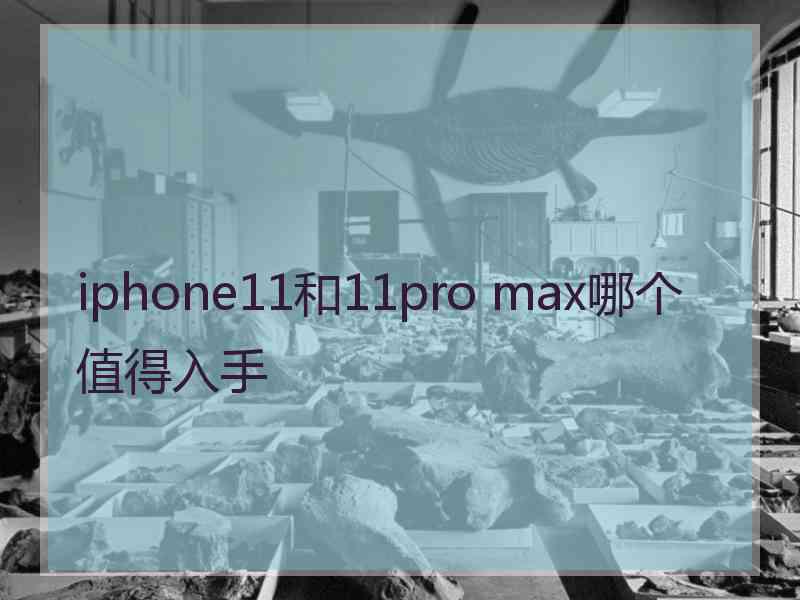 iphone11和11pro max哪个值得入手