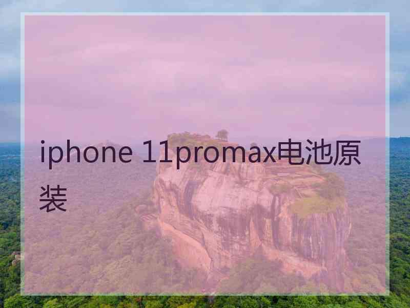 iphone 11promax电池原装