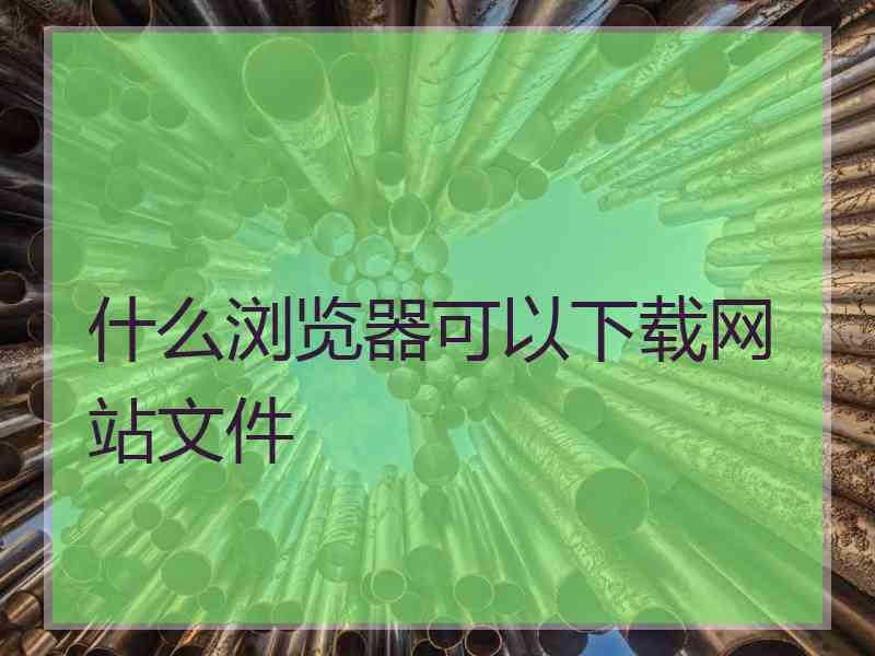 什么浏览器可以下载网站文件