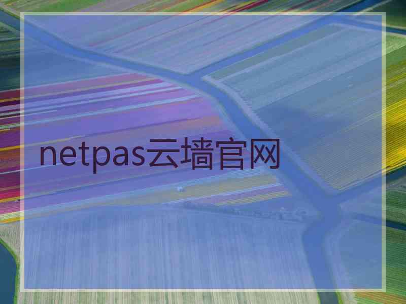 netpas云墙官网