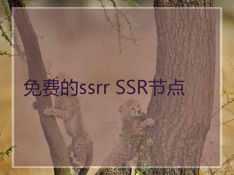 免费的ssrr SSR节点