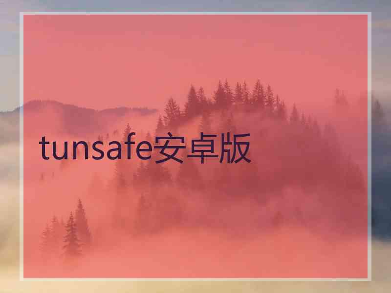 tunsafe安卓版