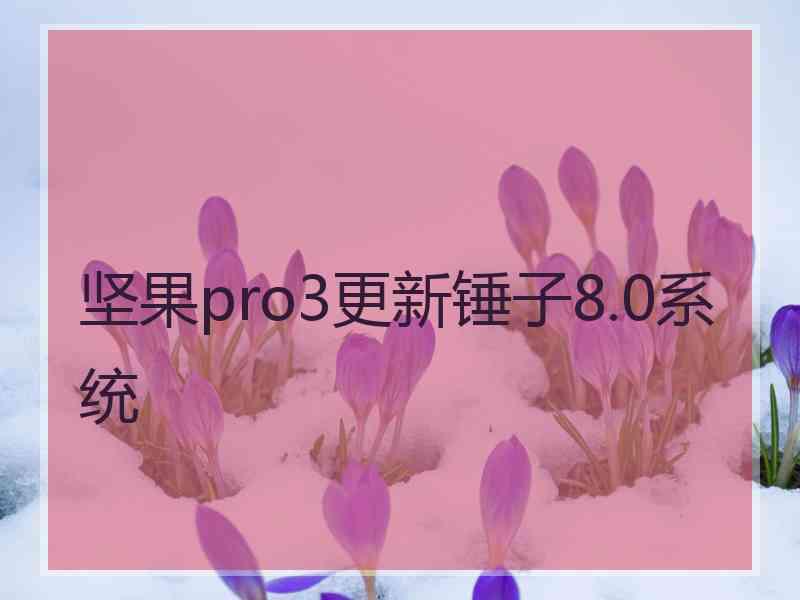 坚果pro3更新锤子8.0系统