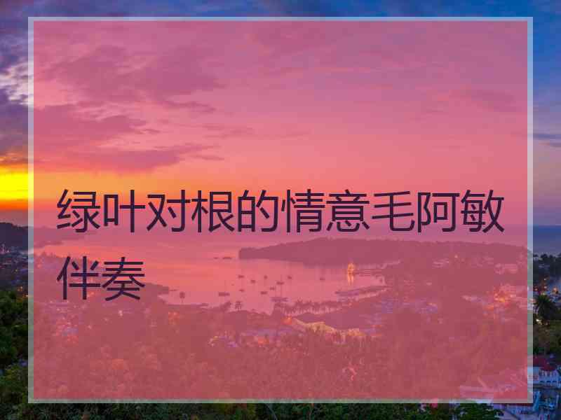 绿叶对根的情意毛阿敏伴奏