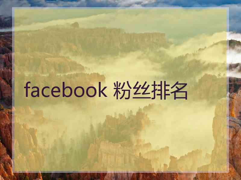 facebook 粉丝排名