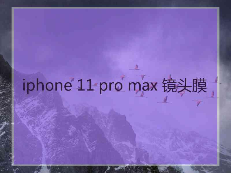 iphone 11 pro max 镜头膜