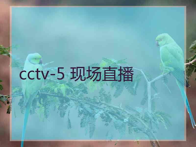 cctv-5 现场直播