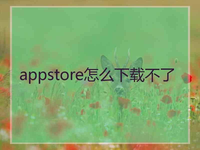 appstore怎么下载不了