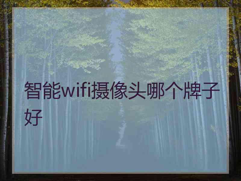 智能wifi摄像头哪个牌子好