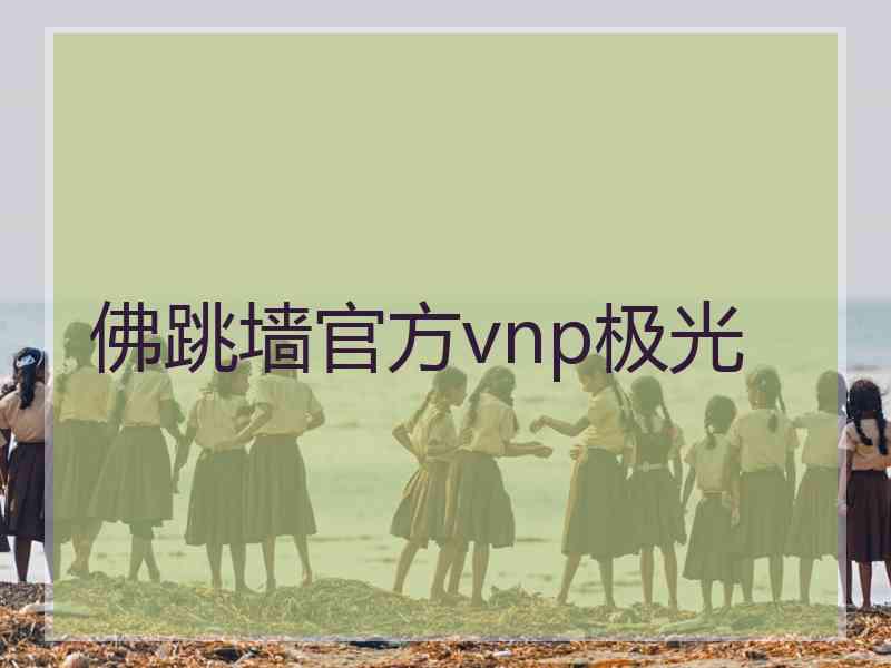 佛跳墙官方vnp极光