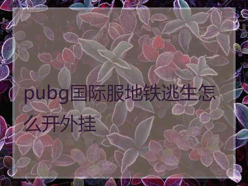 pubg国际服地铁逃生怎么开外挂