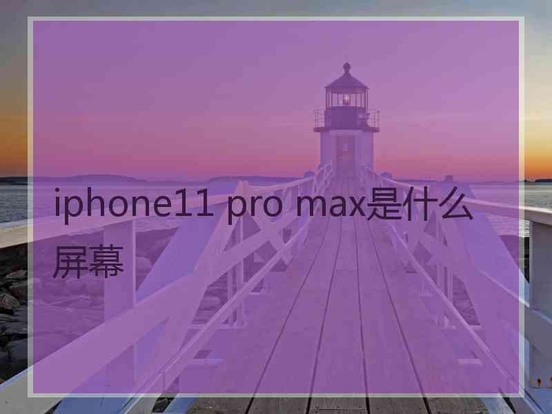 iphone11 pro max是什么屏幕