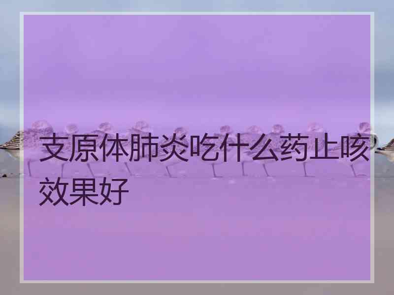 支原体肺炎吃什么药止咳效果好