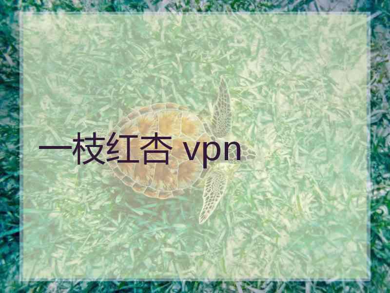 一枝红杏 vpn