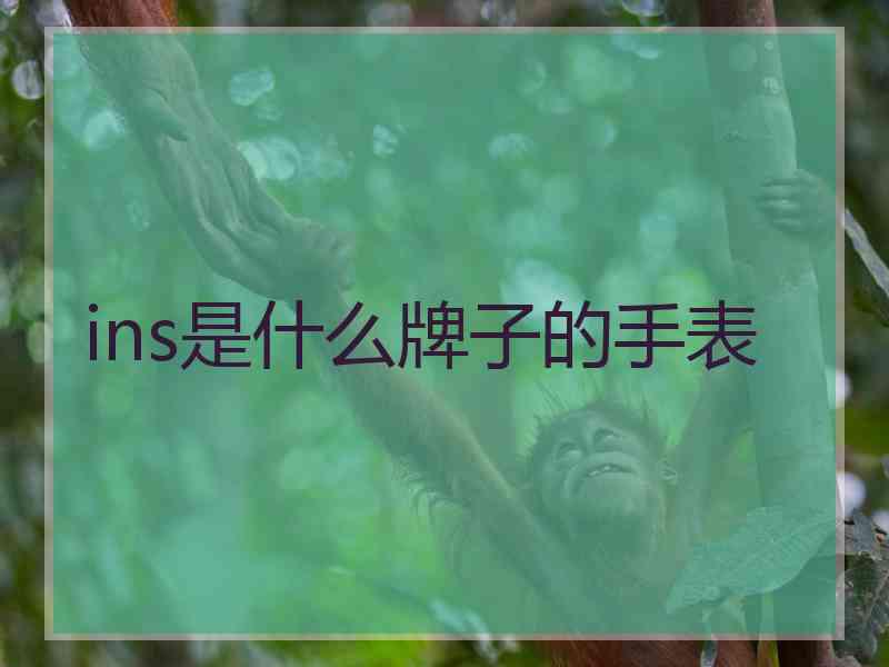 ins是什么牌子的手表