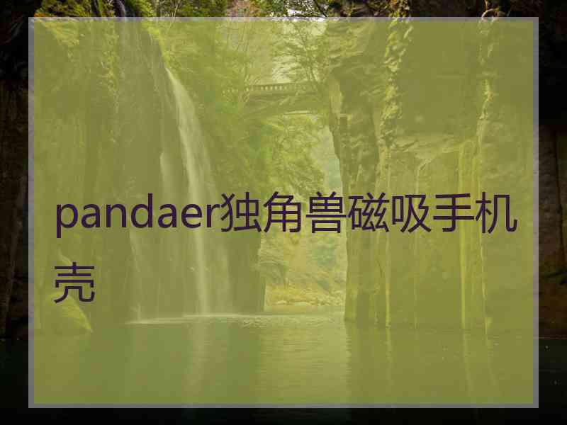 pandaer独角兽磁吸手机壳