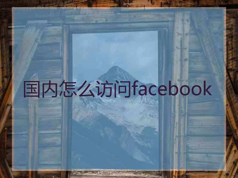 国内怎么访问facebook