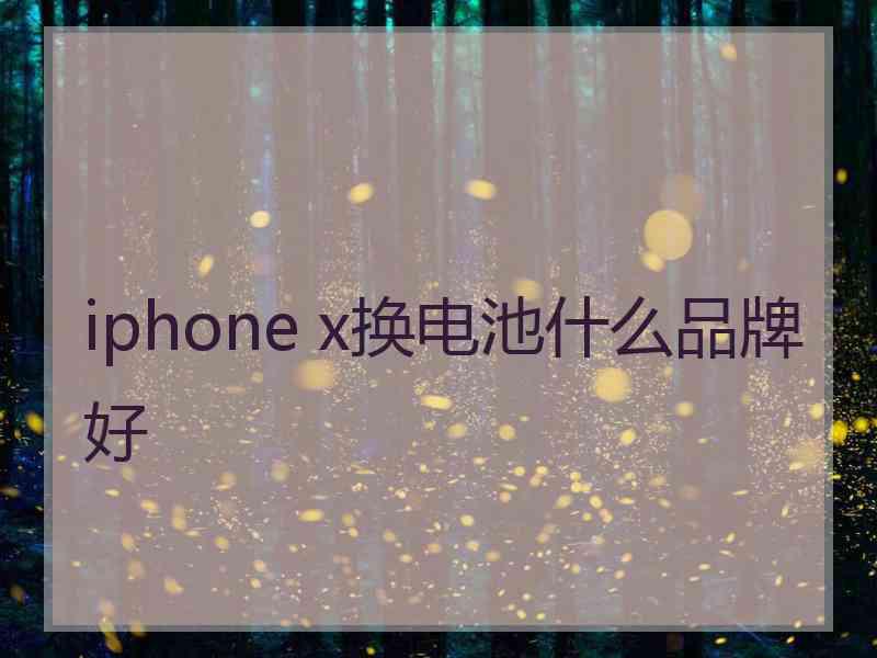 iphone x换电池什么品牌好