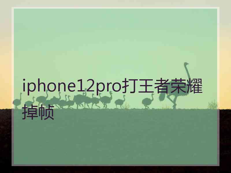 iphone12pro打王者荣耀掉帧