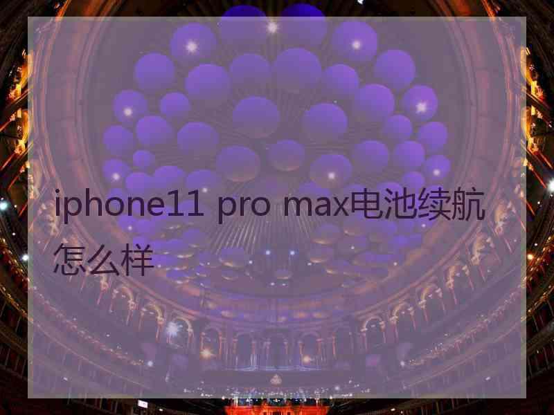 iphone11 pro max电池续航怎么样