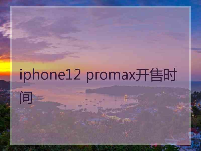 iphone12 promax开售时间