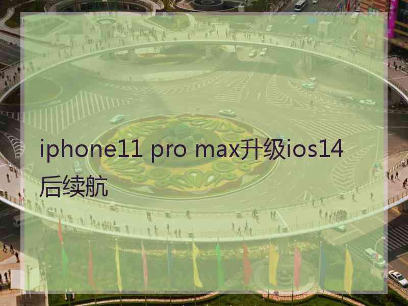 iphone11 pro max升级ios14后续航