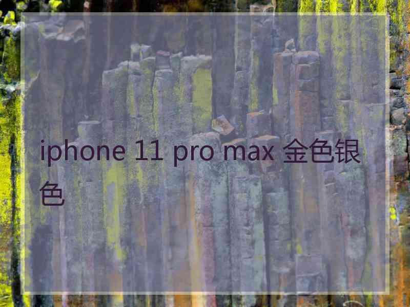 iphone 11 pro max 金色银色