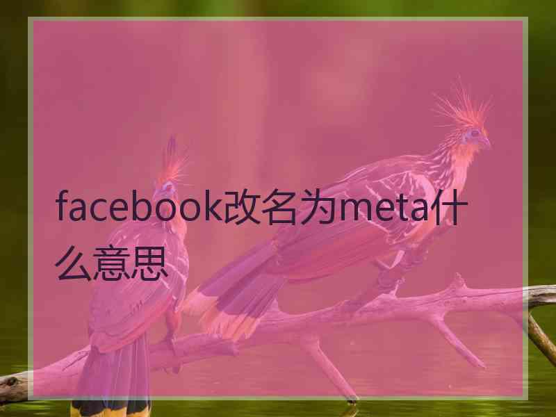 facebook改名为meta什么意思