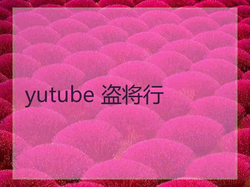 yutube 盗将行