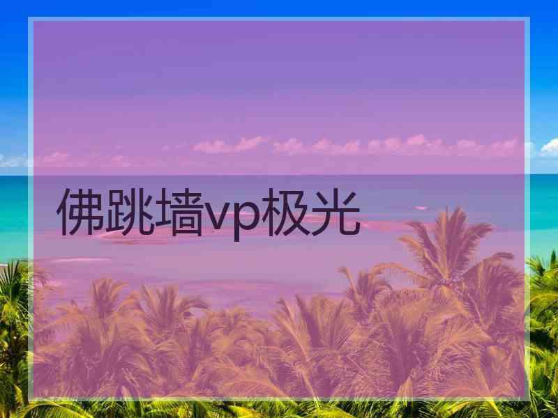 佛跳墙vp极光