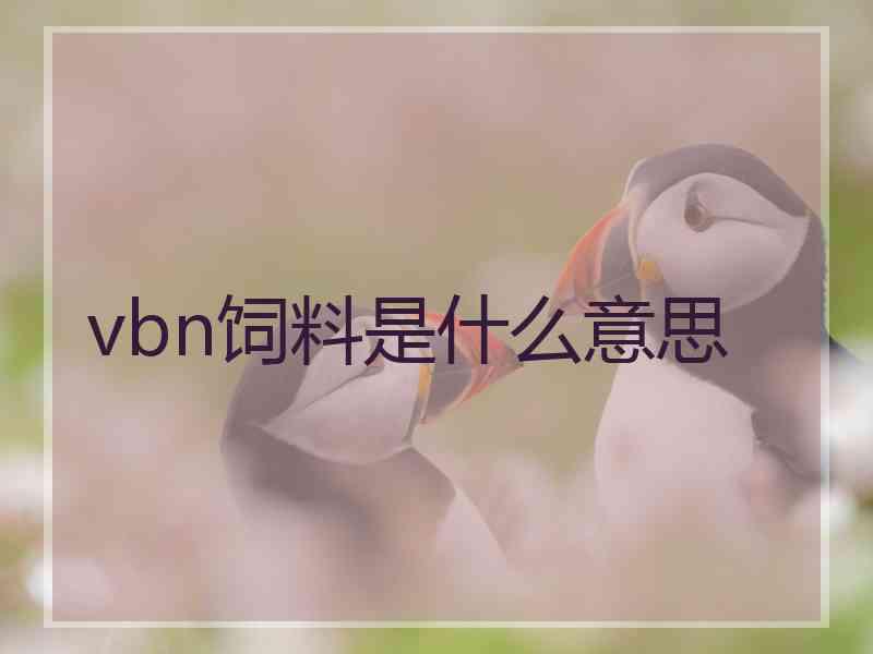 vbn饲料是什么意思