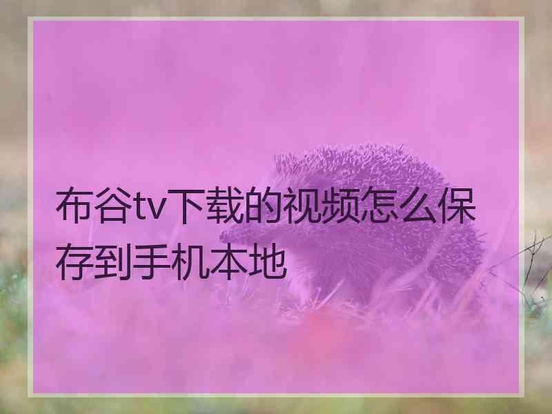 布谷tv下载的视频怎么保存到手机本地