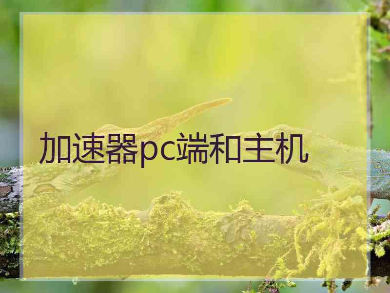 加速器pc端和主机