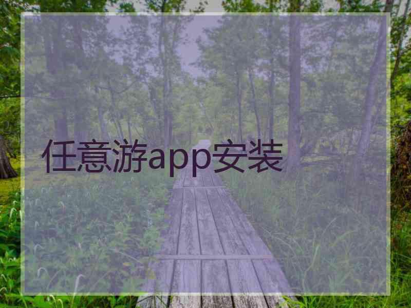 任意游app安装