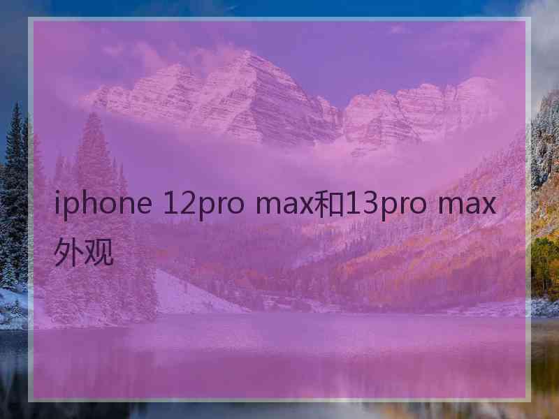 iphone 12pro max和13pro max外观