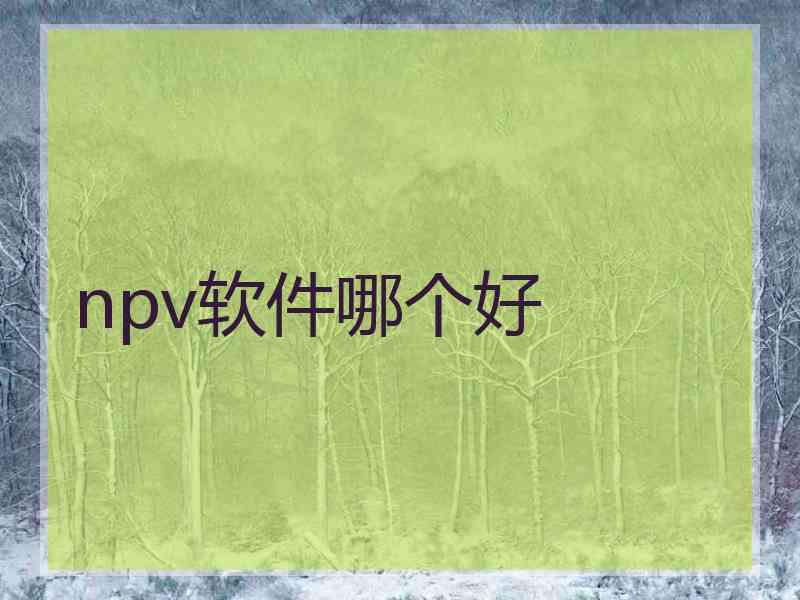 npv软件哪个好