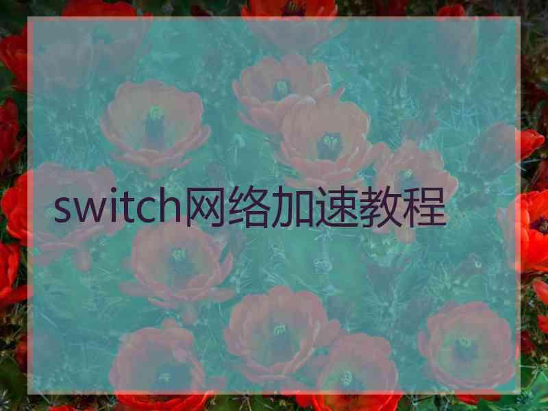 switch网络加速教程