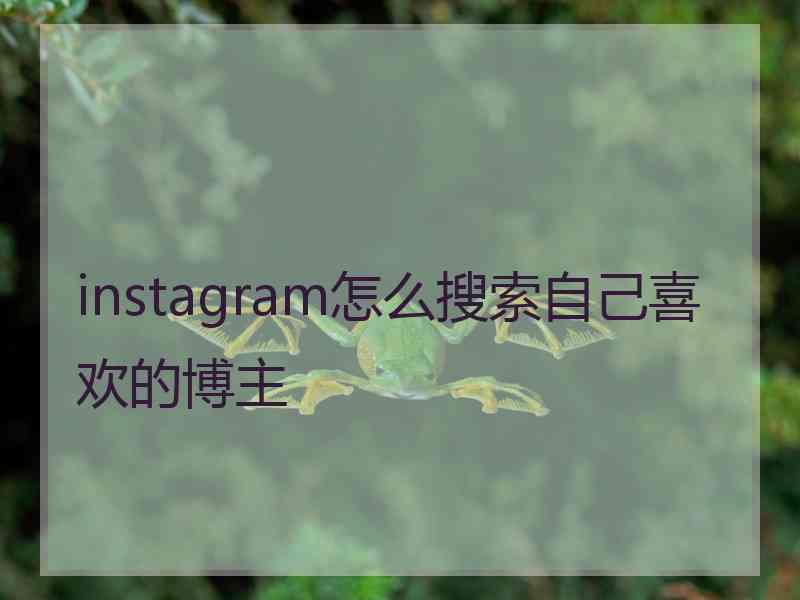 instagram怎么搜索自己喜欢的博主