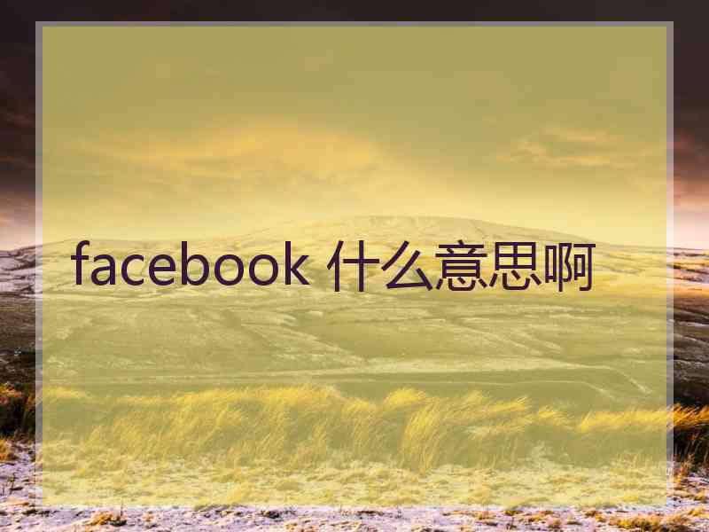 facebook 什么意思啊