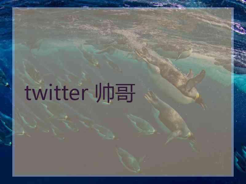 twitter 帅哥